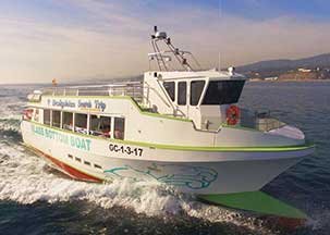 Korte met garantie Dolfijnen glazen bodem boot Tour