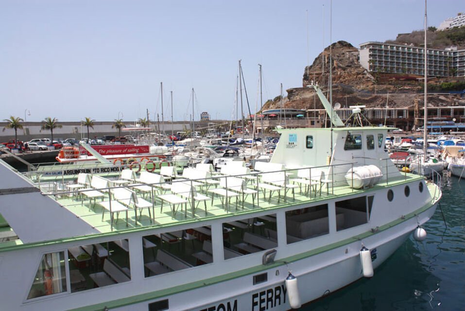 Korte met garantie Dolfijnen glazen bodem boot Tour Gran Canaria Boat Trips 2026