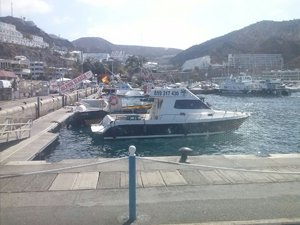 Klik om meer foto's te zien