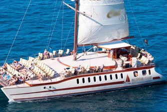 SuperCat Catamaran Dolfijnen Walvissen ZoekTocht